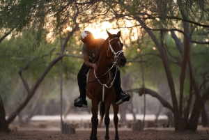 Liwa : aventure équestre dans le désert