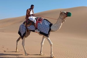 Liwa : aventure traditionnelle de balade à dos de chameau dans le désert