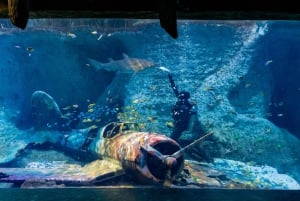 Nationaal Aquarium & Adrenark Avontuur combiticket