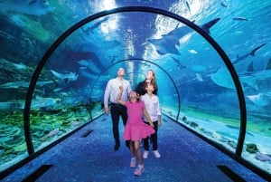 Nationaal Aquarium & Adrenark Avontuur combiticket