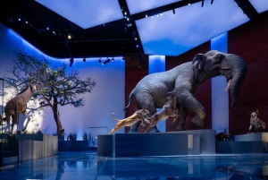 Abu Dhabin luonnontieteellisen museon pääsylippu