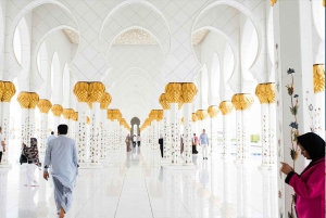 Tour privado de AbuDhabi: Mezquita Sheikh Zayed, Louvre Abu Dhabi