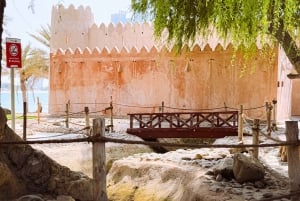 Sjeik Zayed-moskee: Dagtour vanuit Abu Dhabi