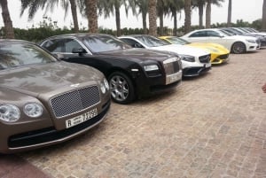 Sport and Luxury in Abu Dhabi: 1-Day Tour from Abu Dhabi