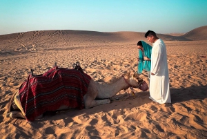 Safari al Amanecer en el Desierto - Abu Dhabi