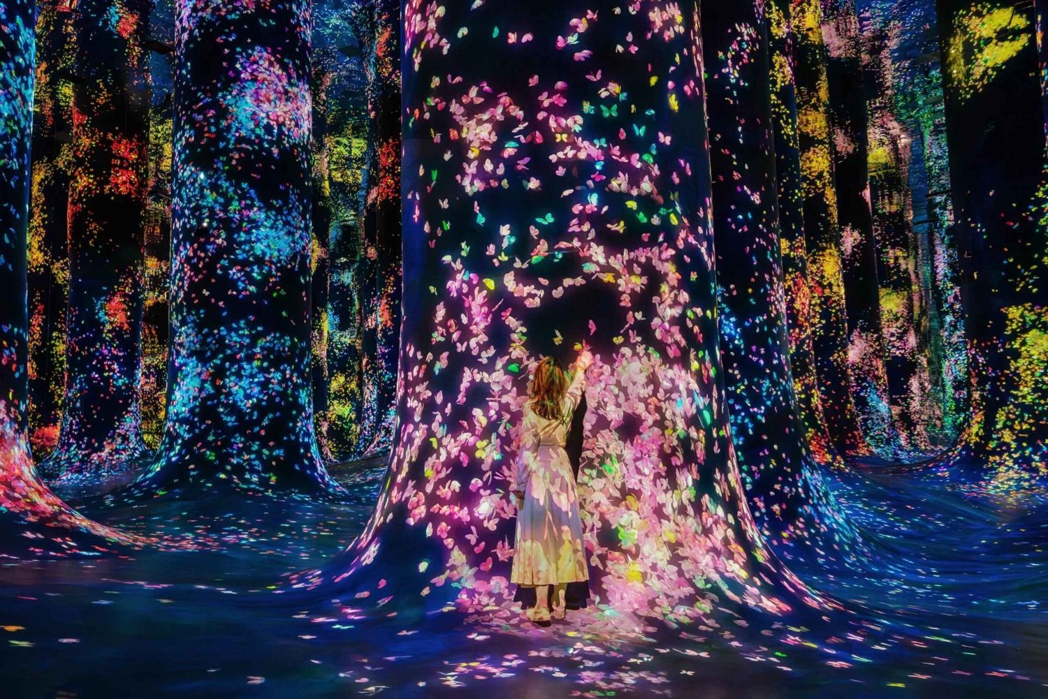 Bilhetes para o TeamLab Phenomena Abu Dhabi com transfer