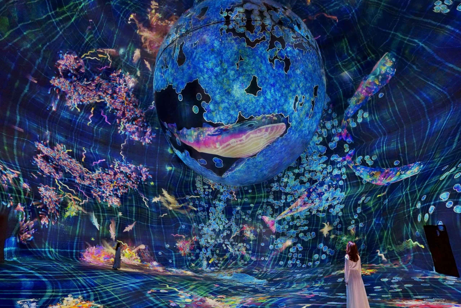 Billetter til teamLab Phenomena Abu Dhabi med valgfri transport