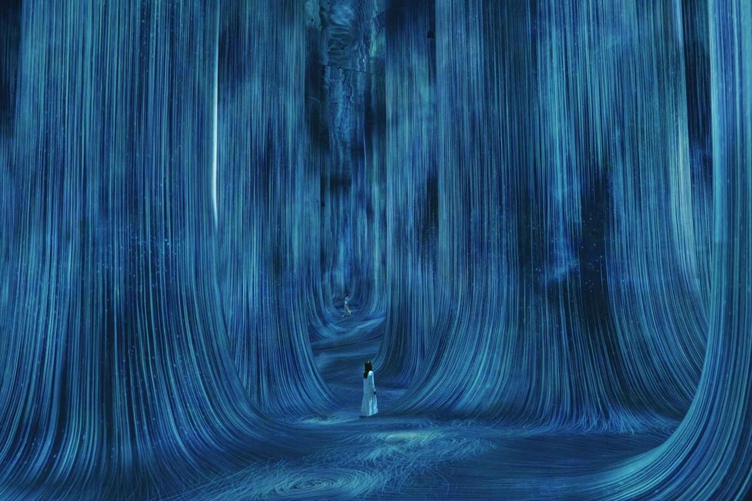 Billetter til teamLab Phenomena Abu Dhabi med valgfri transport