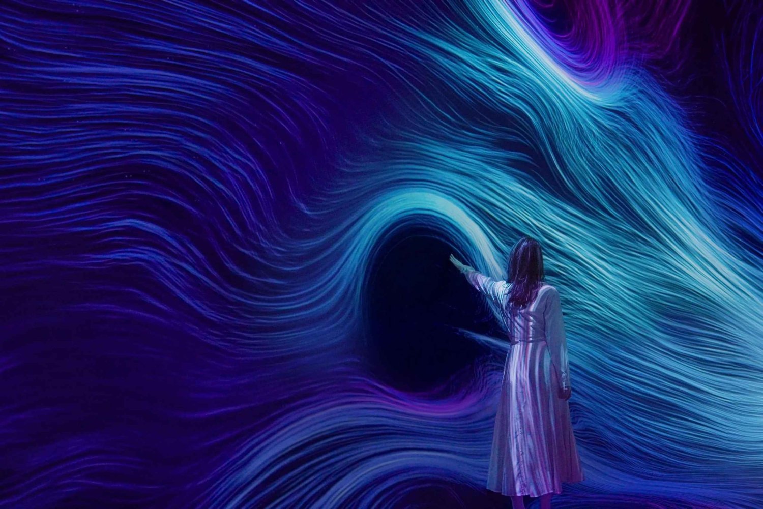 Billetter til teamLab Phenomena Abu Dhabi med valgfri transport