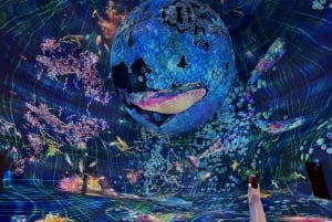 Billetter til teamLab Phenomena Abu Dhabi med valgfri transport