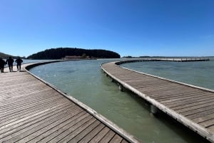 2-daagse tour: Palasë-strand, Vlorë, Apollonia & wijnproeverij