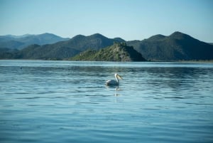 Virpazar: Historical & Nature Boat Adventure on Lake Skadar