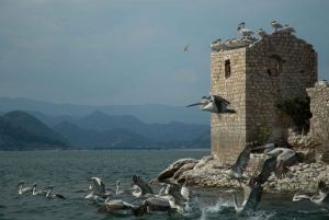 Virpazar: Historical & Nature Boat Adventure on Lake Skadar