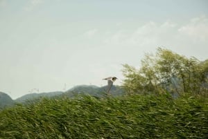 Virpazar: Historical & Nature Boat Adventure on Lake Skadar