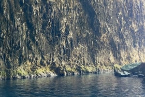 Sazan Island, Haxhi Ali Cave & Marine Park: Speedbådstur