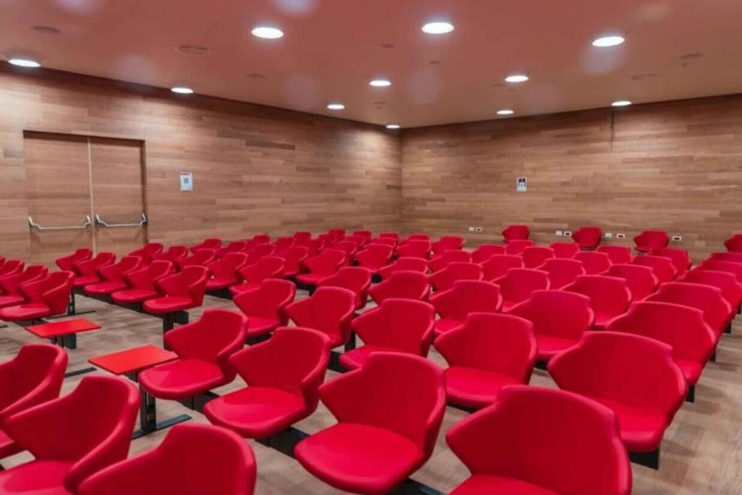 Air-Albania-Stadiontour – VIP-Zugang & Führung