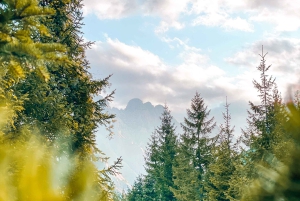 Albanska Alperna: 3-dagars tur till Komani-sjön, Valbona och Thethi