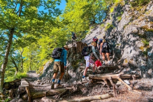 Albanska Alperna: 3-dagars tur till Komani-sjön, Valbona och Thethi