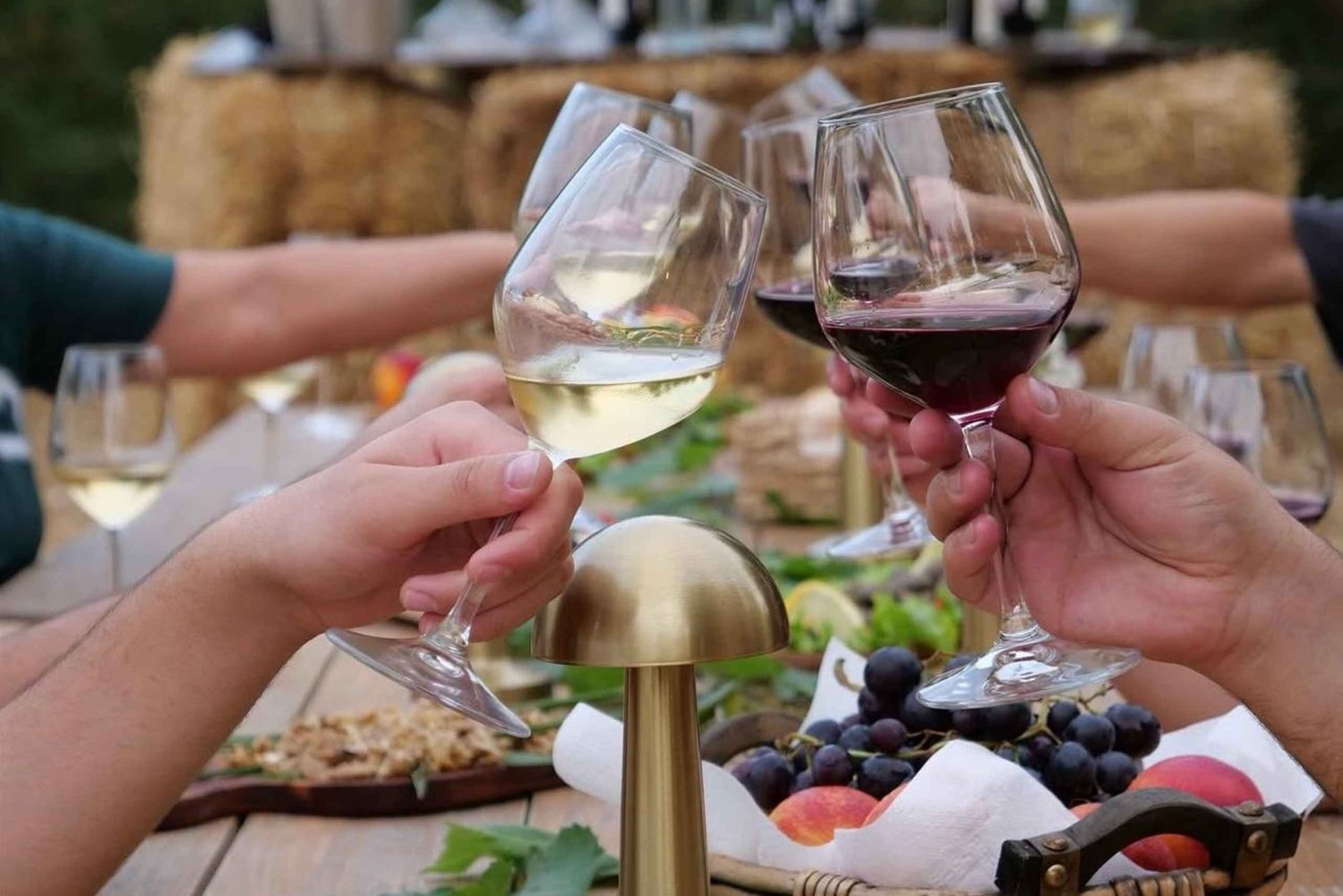 Albanian Wine & Raki Tasting Experience at Hani i Qerosit