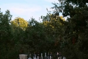 Albanese wijn- en raki-proeverij bij Hani i Qerosit