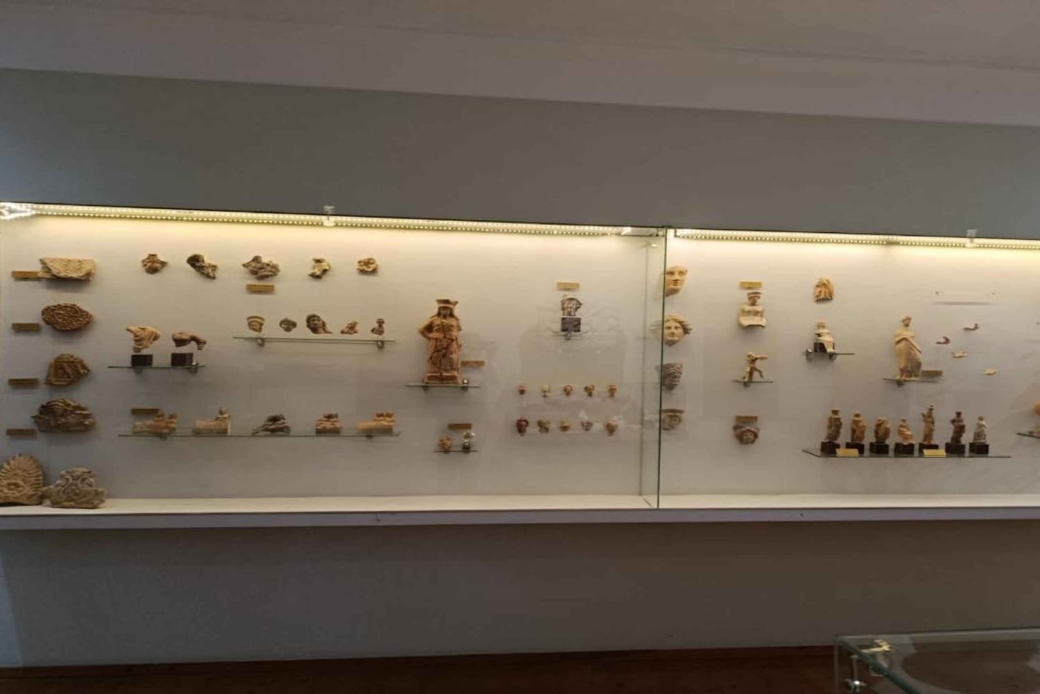 Аполлония, Арденика и Дивьяка: однодневная экскурсия из Берата