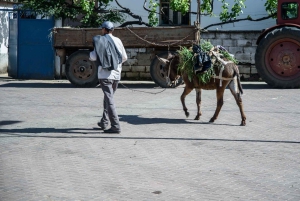 Albanian järvialue Ohridista ja Strugasta.