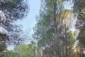 ATV/QUAD-TUR VLORA