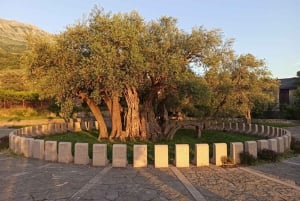 Bar, Montenegro: excursie aan wal met cruise op het Skadarmeer