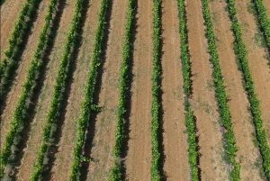 Visite d'une journée à Belsh : 84 lacs et le site sacré de la déesse Aphrodite