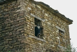 Berat: 3-tägiges Camping-Abenteuer im Tomorr-Gebirge