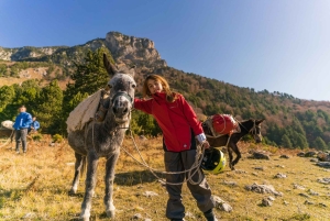 Berat: 3-tägiges Camping-Abenteuer im Tomorr-Gebirge