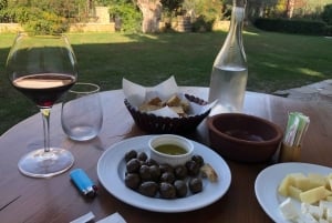 Berat: Discover the One on One Windows City