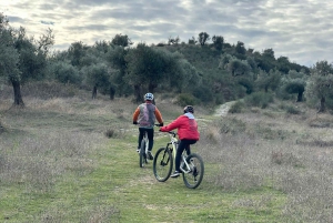 Berat : Tour en vélo électrique avec déjeuner