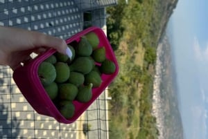 ベラトベラト：地元の家族と楽しむ食卓料理教室