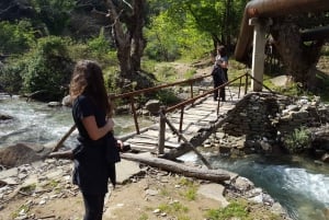 Berat: Guidad tur till berget Tomorr och vattenfallet Bogove
