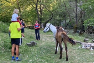 Berat: Excursión Guiada al Monte Tomorr y a la Cascada de Bogove