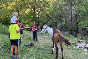 Berat : Excursion guidée au Mont Tomorr et à la cascade de Bogove