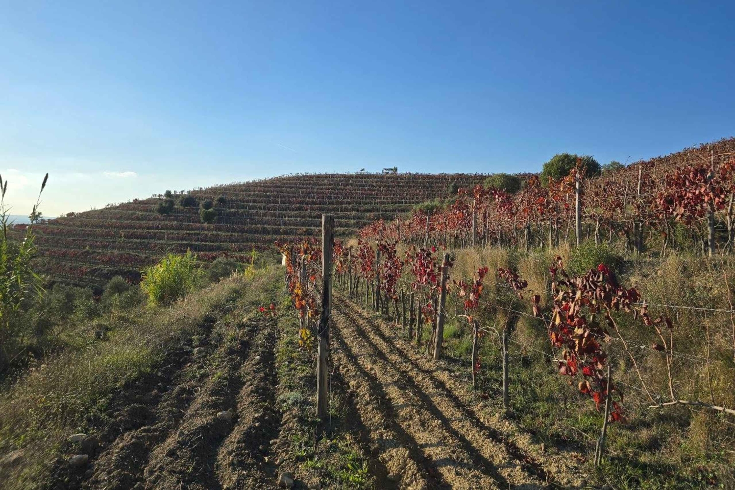 Berat: Private Sunset Tour with Wine and Fruits