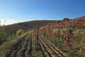 Berat: Private Sunset Tour with Wine and Fruits