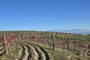 Berat: Private Sunset Tour with Wine and Fruits