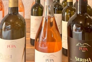 Berat : visite et dégustation à la cave Pupa