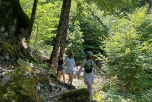 Berat: Tomorr-vuori ja Dardhën järvet -päiväretki