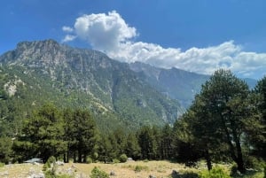 Berat: Tomorr-vuori ja Dardhën järvet -päiväretki