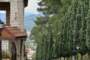 From Tirana: Berat Daily Tour & Traditional Lunch