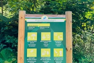 Blue Eye Magic & Castle Views – Saranda Adventure Tour