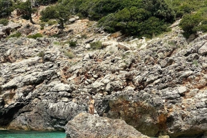 Blue Gem Grot Speedboottocht Vlore