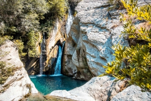 Bogove's Splendor: Wasserfall-Abenteuer & Weinverkostung