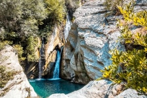 Bogove's Splendor: Waterfall Adventure & Wine Tasting