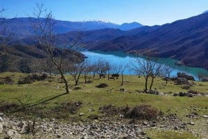 Bovilla Lake, Hiking and Swimming, Day Tour