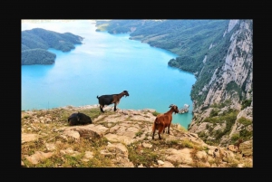 Bovilla Lake Serenity: Day Hike from Tirana/Durres/Golem